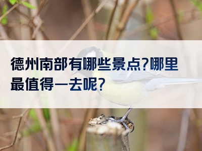 德州南部有哪些景点？哪里最值得一去呢？