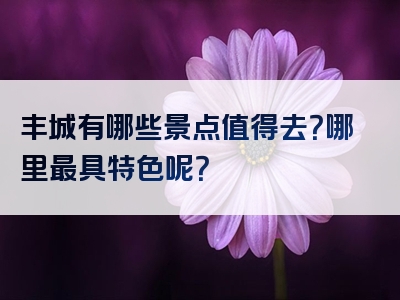 丰城有哪些景点值得去？哪里最具特色呢？