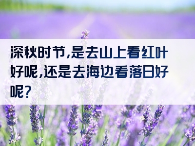 深秋时节，是去山上看红叶好呢，还是去海边看落日好呢？
