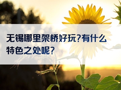 无锡哪里架桥好玩？有什么特色之处呢？