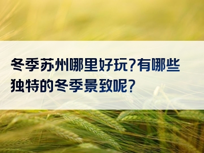 冬季苏州哪里好玩？有哪些独特的冬季景致呢？