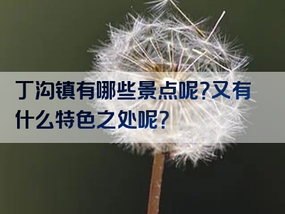 丁沟镇有哪些景点呢？又有什么特色之处呢？