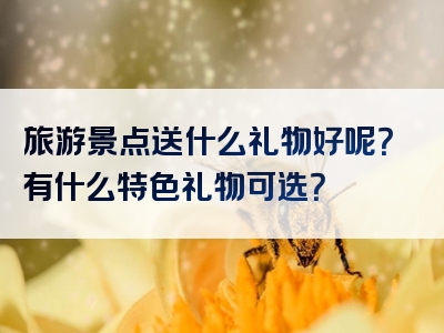 旅游景点送什么礼物好呢？有什么特色礼物可选？