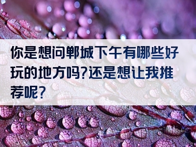 你是想问郸城下午有哪些好玩的地方吗？还是想让我推荐呢？