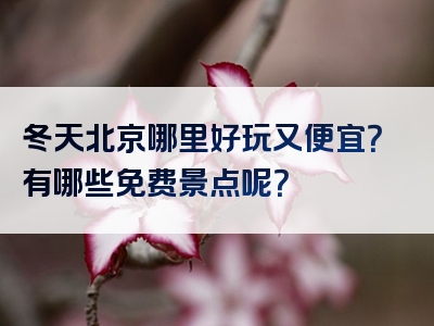 冬天北京哪里好玩又便宜？有哪些免费景点呢？