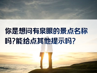 你是想问有泉眼的景点名称吗？能给点其他提示吗？