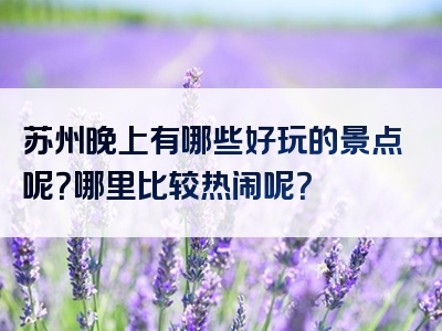 苏州晚上有哪些好玩的景点呢？哪里比较热闹呢？