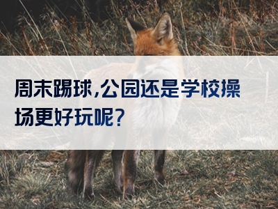 周末踢球，公园还是学校操场更好玩呢？