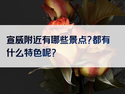 宣威附近有哪些景点？都有什么特色呢？