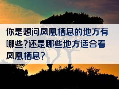 你是想问凤凰栖息的地方有哪些？还是哪些地方适合看凤凰栖息？