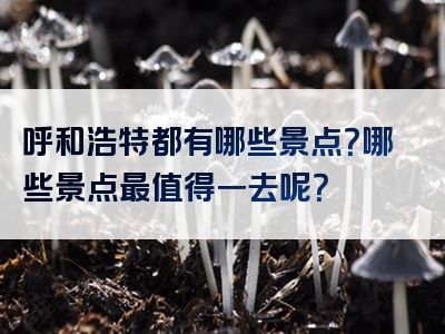 呼和浩特都有哪些景点？哪些景点最值得一去呢？