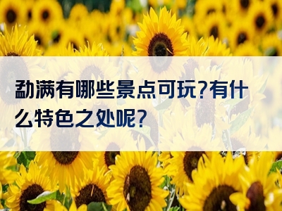 勐满有哪些景点可玩？有什么特色之处呢？