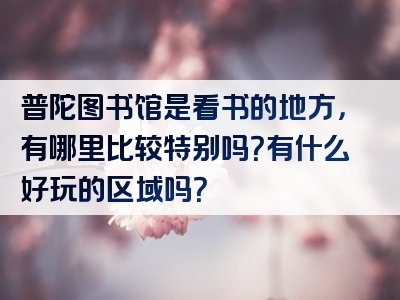 普陀图书馆是看书的地方，有哪里比较特别吗？有什么好玩的区域吗？