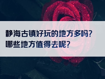 静海古镇好玩的地方多吗？哪些地方值得去呢？