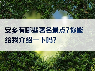 安乡有哪些著名景点？你能给我介绍一下吗？