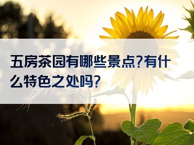 五房茶园有哪些景点？有什么特色之处吗？