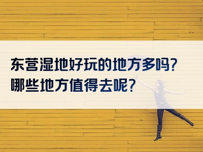 东营湿地好玩的地方多吗？哪些地方值得去呢？