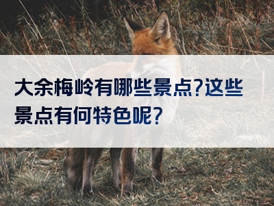 大余梅岭有哪些景点？这些景点有何特色呢？