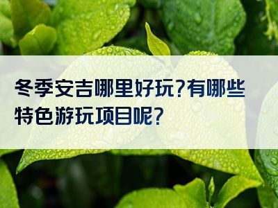 冬季安吉哪里好玩？有哪些特色游玩项目呢？