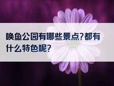 唤鱼公园有哪些景点？都有什么特色呢？