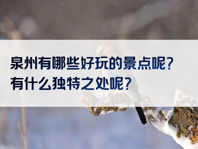 泉州有哪些好玩的景点呢？有什么独特之处呢？