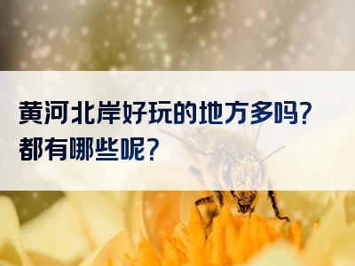 黄河北岸好玩的地方多吗？都有哪些呢？