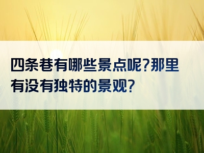 四条巷有哪些景点呢？那里有没有独特的景观？