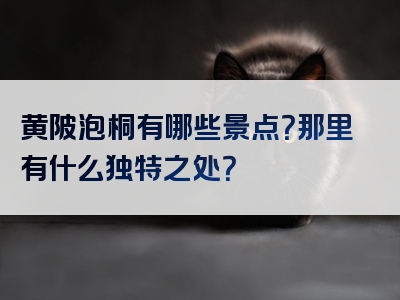 黄陂泡桐有哪些景点？那里有什么独特之处？