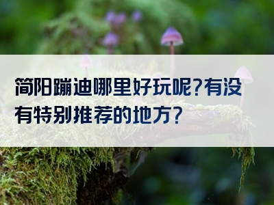 简阳蹦迪哪里好玩呢？有没有特别推荐的地方？