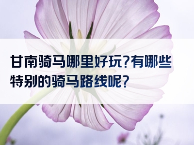 甘南骑马哪里好玩？有哪些特别的骑马路线呢？