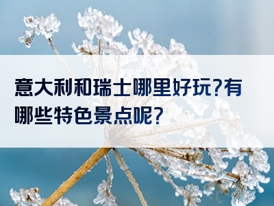 意大利和瑞士哪里好玩？有哪些特色景点呢？