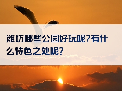 潍坊哪些公园好玩呢？有什么特色之处呢？