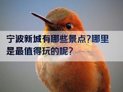 宁波新城有哪些景点？哪里是最值得玩的呢？