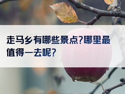 走马乡有哪些景点？哪里最值得一去呢？