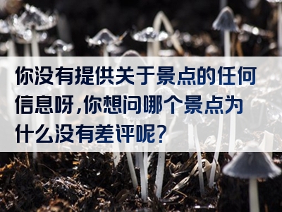 你没有提供关于景点的任何信息呀，你想问哪个景点为什么没有差评呢？