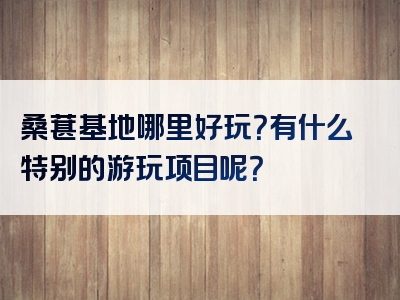 桑葚基地哪里好玩？有什么特别的游玩项目呢？