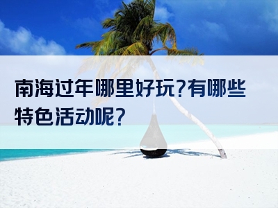 南海过年哪里好玩？有哪些特色活动呢？