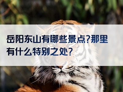 岳阳东山有哪些景点？那里有什么特别之处？