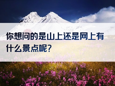 你想问的是山上还是网上有什么景点呢？