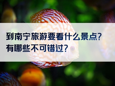 到南宁旅游要看什么景点？有哪些不可错过？