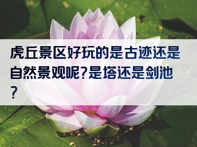 虎丘景区好玩的是古迹还是自然景观呢？是塔还是剑池？