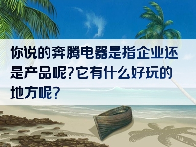 你说的奔腾电器是指企业还是产品呢？它有什么好玩的地方呢？