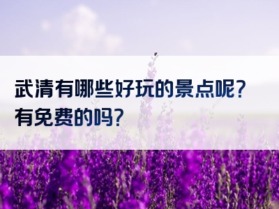 武清有哪些好玩的景点呢？有免费的吗？