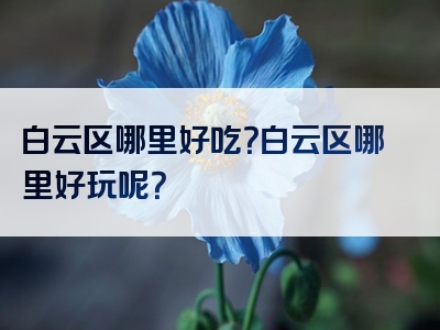 白云区哪里好吃？白云区哪里好玩呢？