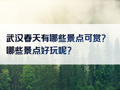 武汉春天有哪些景点可赏？哪些景点好玩呢？