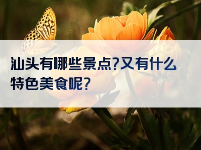 汕头有哪些景点？又有什么特色美食呢？