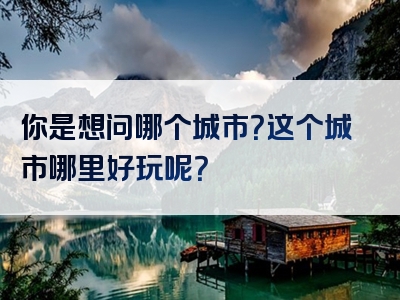 你是想问哪个城市？这个城市哪里好玩呢？