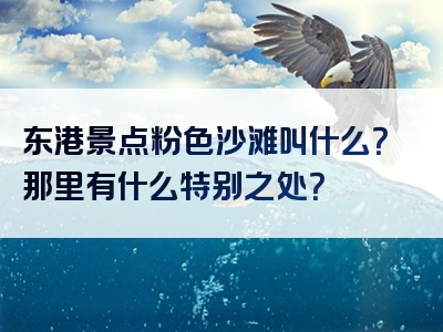 东港景点粉色沙滩叫什么？那里有什么特别之处？