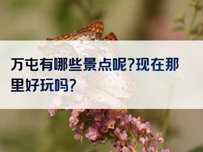 万屯有哪些景点呢？现在那里好玩吗？