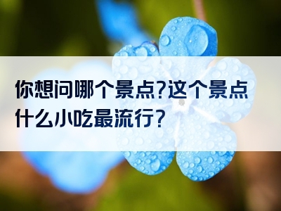 你想问哪个景点？这个景点什么小吃最流行？